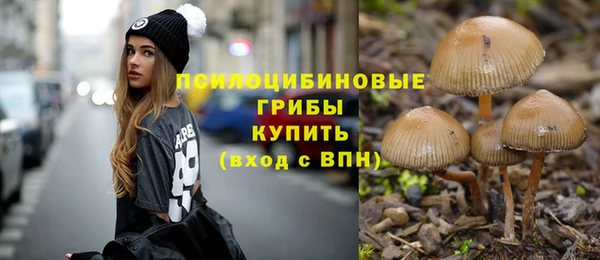 прущие грибы Богородск