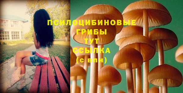 прущие грибы Богородск