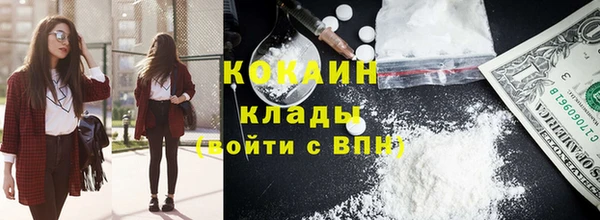 прущие грибы Богородск