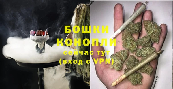 дурь Богданович